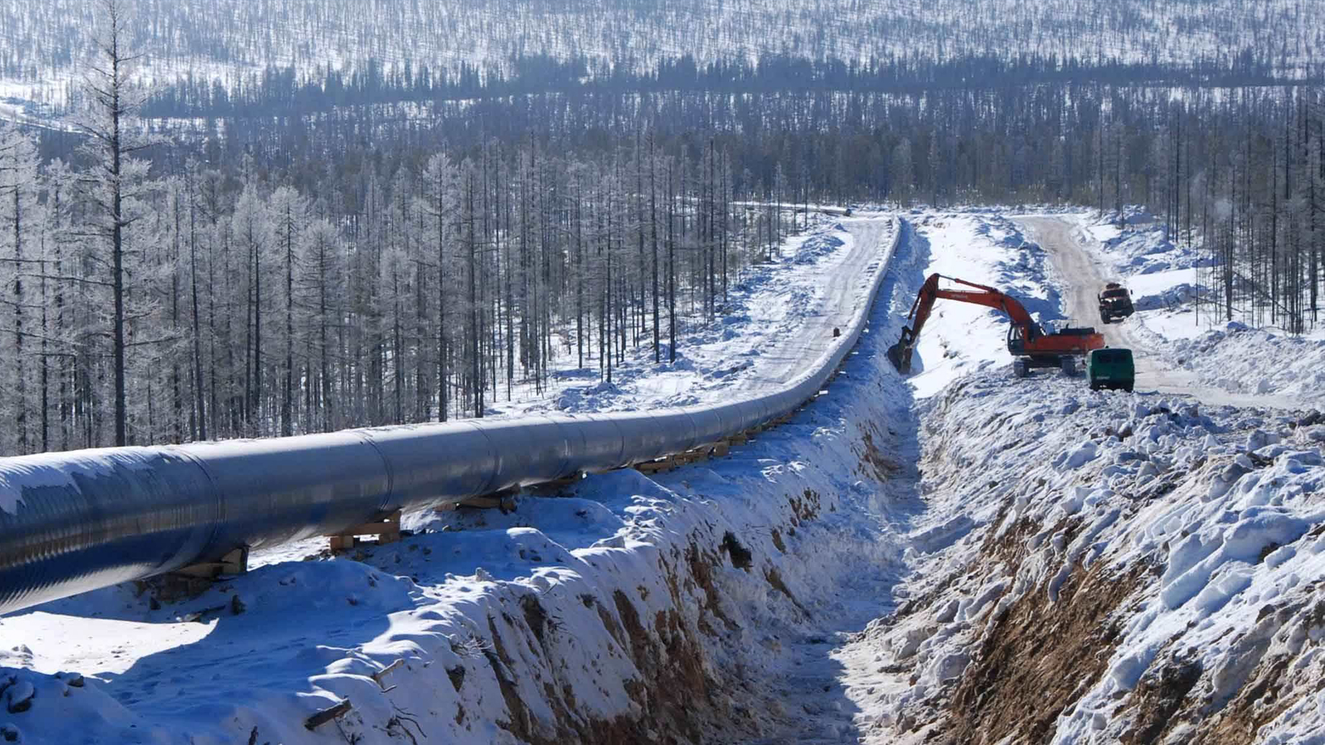 Comprehensive project